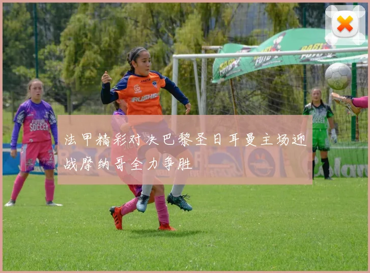 法甲精彩对决巴黎圣日耳曼主场迎战摩纳哥全力争胜