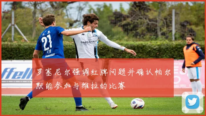 罗塞尼尔强调红牌问题并确认帕尔默能参加与维拉的比赛